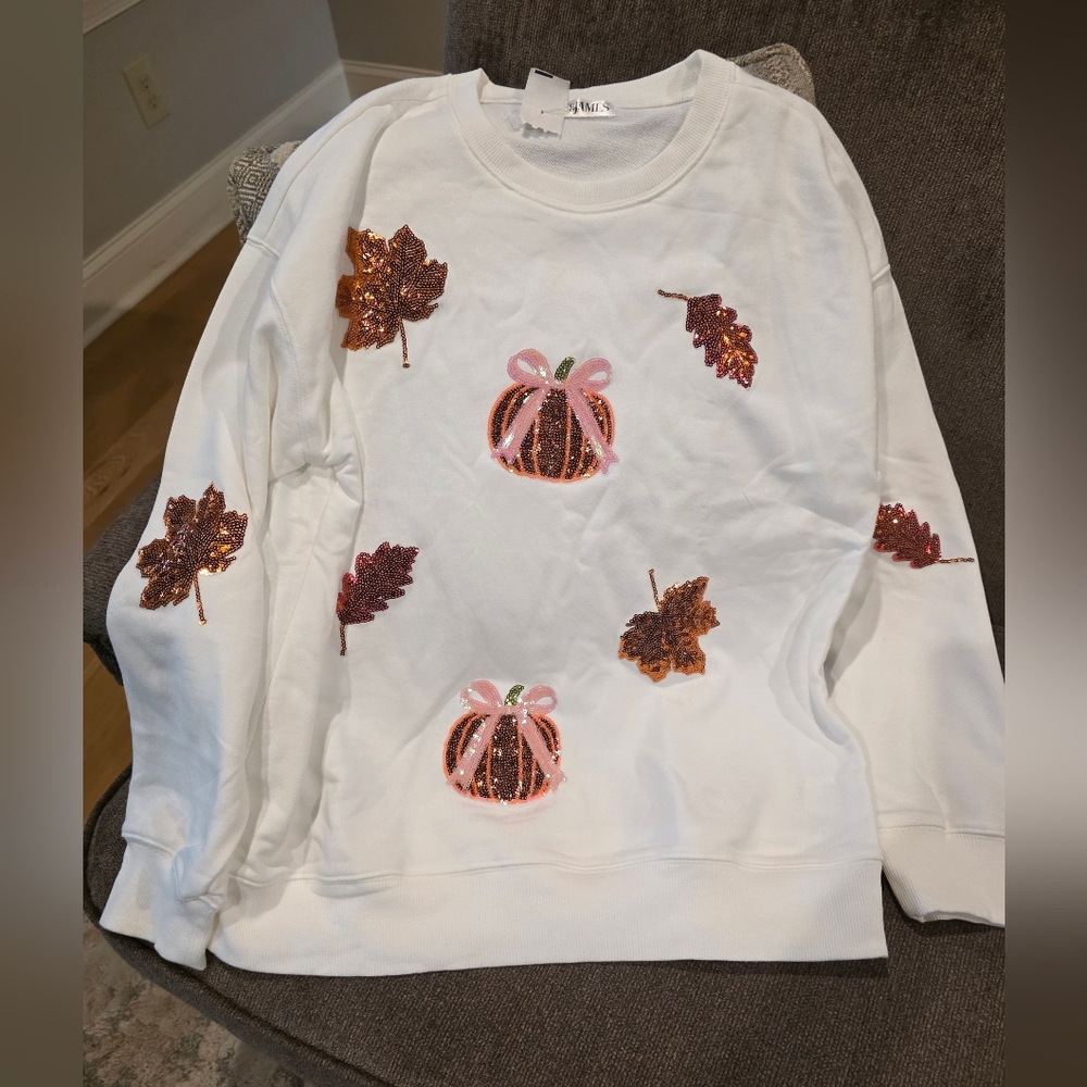 Pumpkin Spice Sweatshirt-NWT